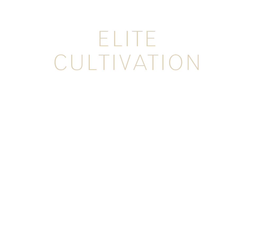 ELITE CULTIVATION